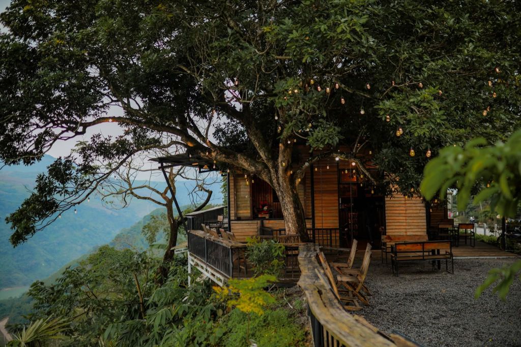 Homi Coffee - Khe Sanh - Quang Tri - ảnh 14