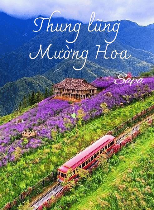 Explore Muong Hoa Valley – A distinctive landscape and cultural space of Sapa.