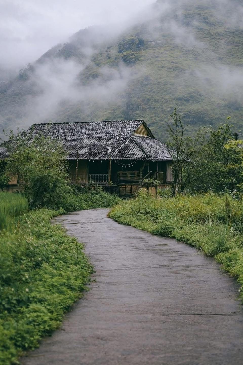 Du Già in the midst of the Yên Minh mountains and forests (Hà Giang). - ảnh 5