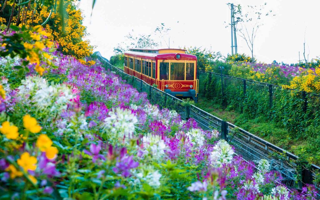 穆ong Hoa谷 - 在沙巴欣赏美丽梯田的地方 - ảnh 5