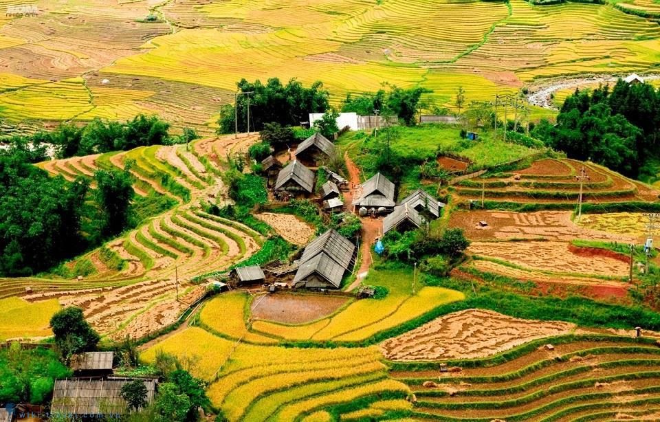 Muong Hoa Valley – a beautiful spot to view terraced rice fields in Sa Pa. - 2