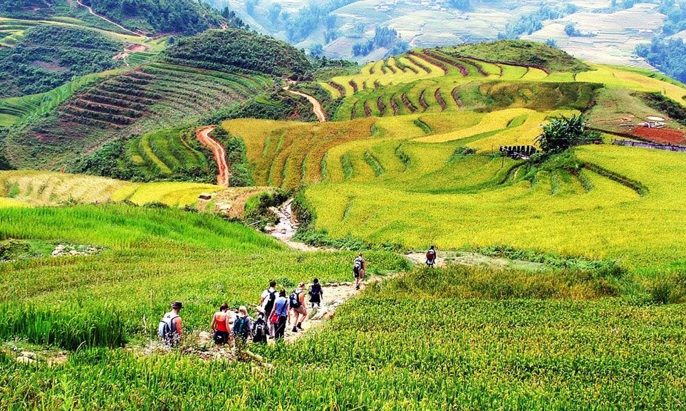 Muong Hoa Valley – a beautiful spot to view terraced rice fields in Sa Pa. - 3