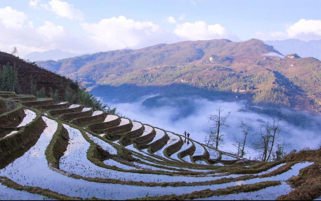 穆ong Hoa谷 - 在沙巴欣赏美丽梯田的地方 - ảnh 6