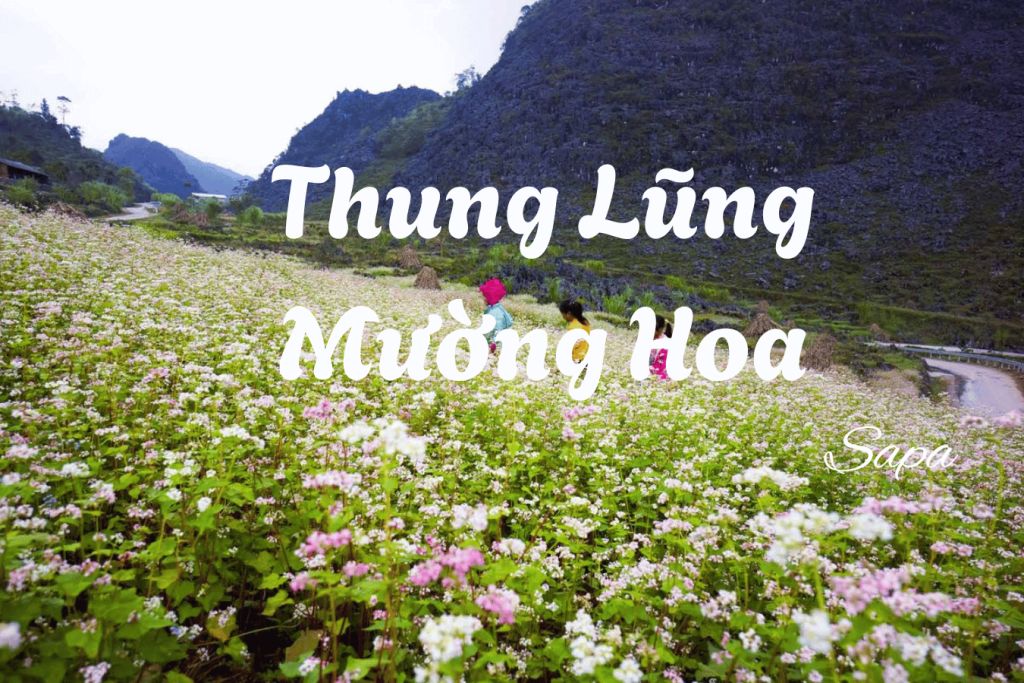 Muong Hoa Valley – a beautiful spot to view terraced rice fields in Sa Pa. - 1
