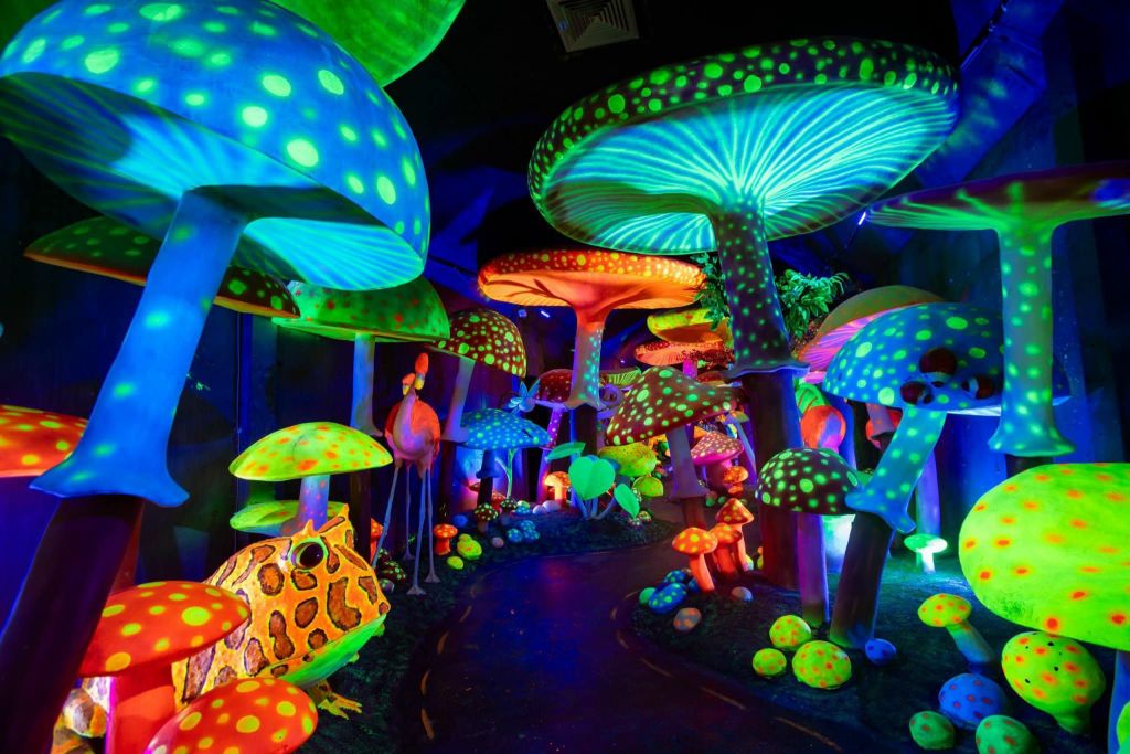 천국의 문 사파 – 구름과 산을 감상할 수 있는 곳으로 많은 사람들이 찾고 있습니다. - ảnh 8