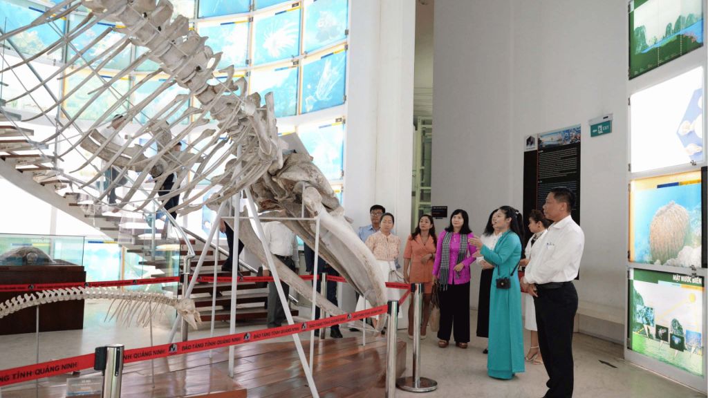 Quang Ninh Museum – not just for visiting, but for taking pictures. - ảnh 5