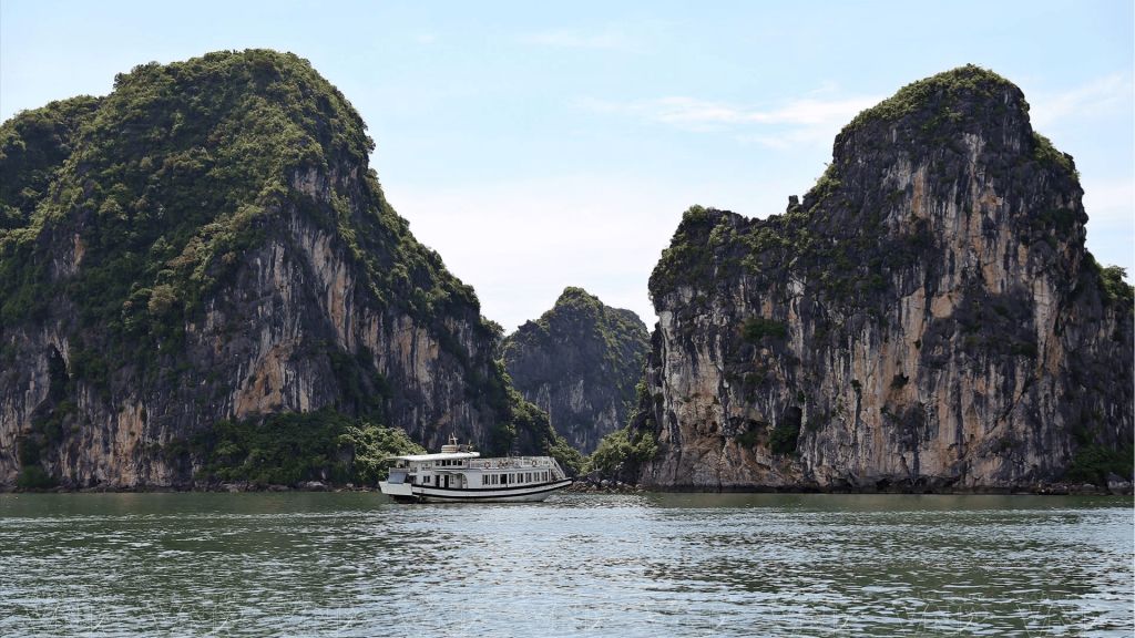 Découvrez la baie d'Ha Long – un patrimoine naturel et un écosystème de karst caractéristique. - ảnh 2