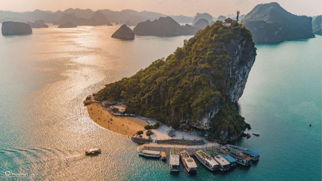 Découvrez la baie d'Ha Long – un patrimoine naturel et un écosystème de karst caractéristique. - ảnh 5