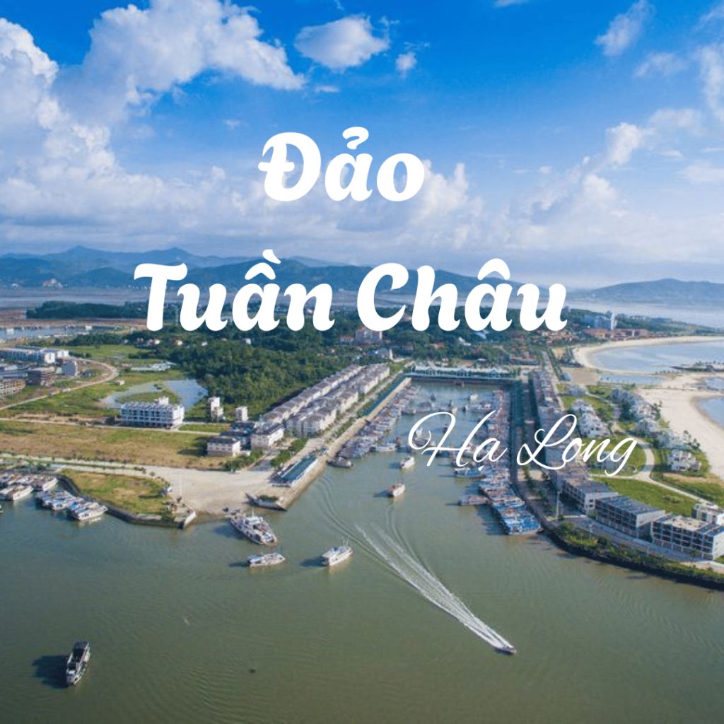 Discover Tuan Chau Island – the center for coordinating cruises and high-end travel experiences in Ha Long.