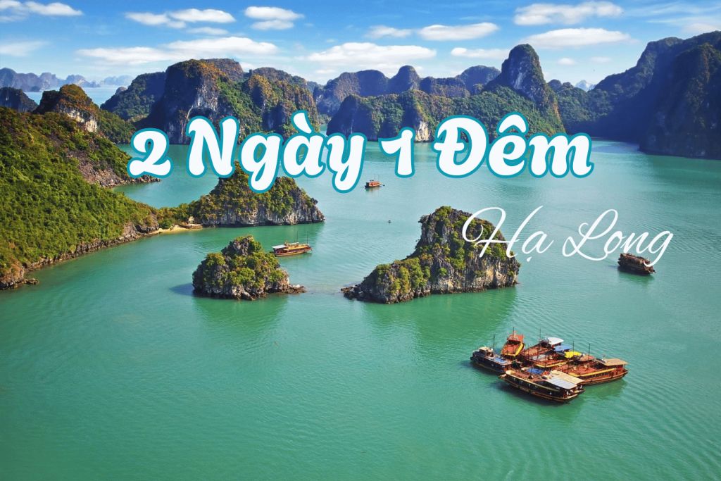 Explore Ha Long on a 2D1N journey – The best way to enhance your experience instead of just "glancing through."