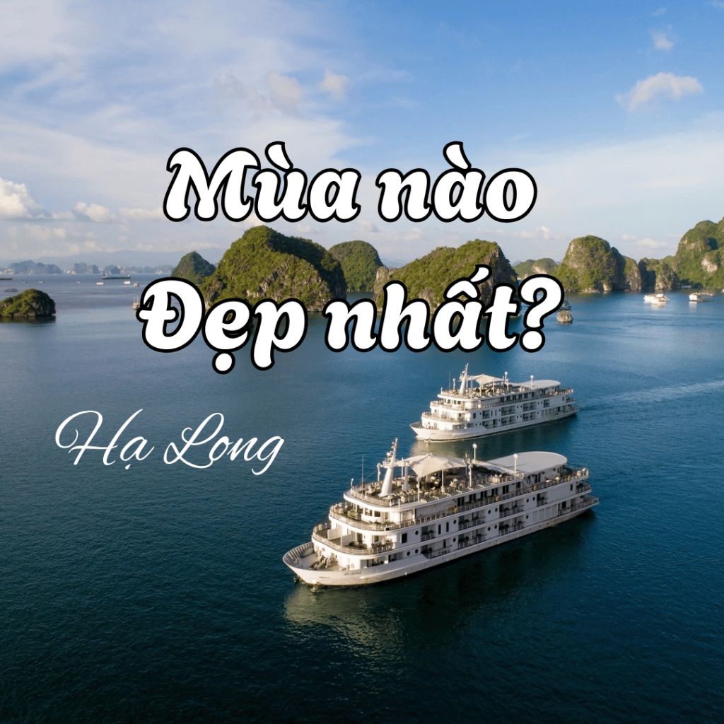 Discovering Ha Long: Which Season is the Most Beautiful – The Differences in Experience Throughout the Year