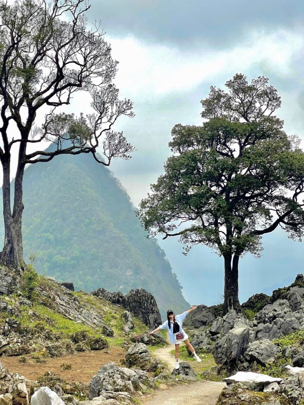 The Double Pải Lủng tree is a check-in spot that not many people know about in Hà Giang. - 2
