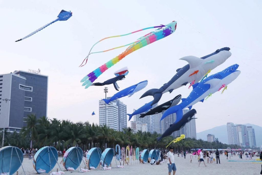 Da Nang will host a large-scale artistic kite flying event on the beach. - 1