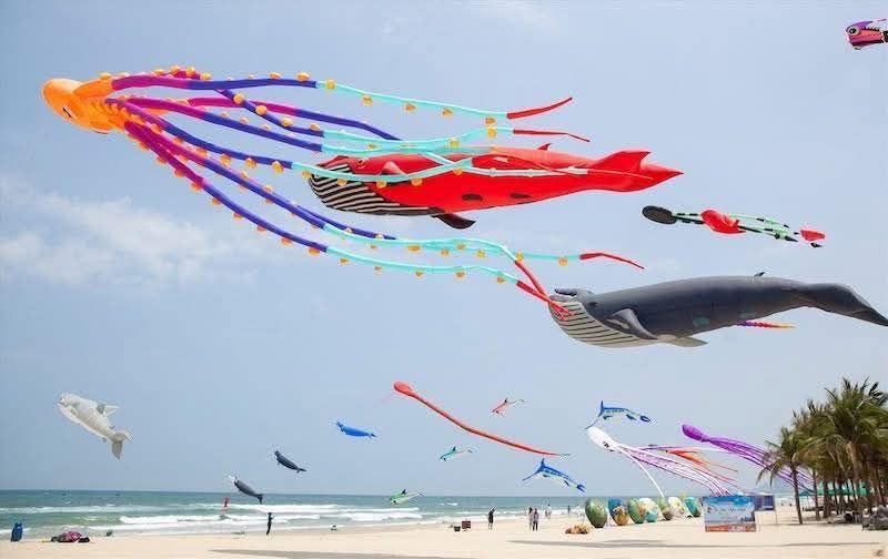 Da Nang will host a large-scale artistic kite flying event on the beach. - 2