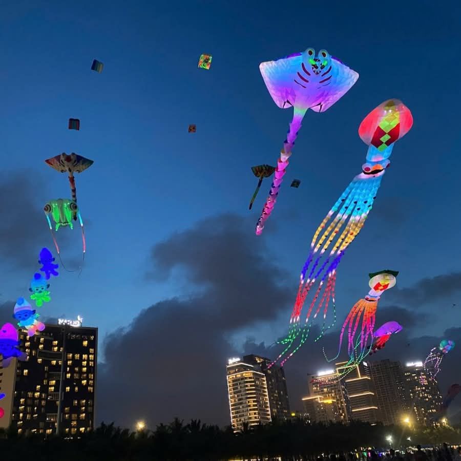 Da Nang will host a large-scale artistic kite flying event on the beach. - 4