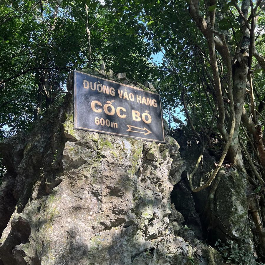 “汉克博洞”或“帕克博洞” - 1