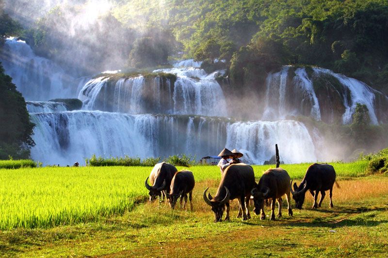 When is the best time to travel to Ban Gioc Waterfall? - 2