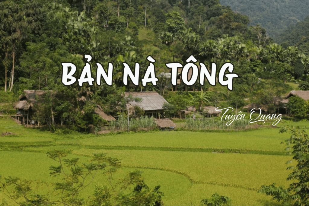 Na Tong (Lam Binh) - a place where you can stay to gain a deeper understanding of life in the mountainous region. - 1