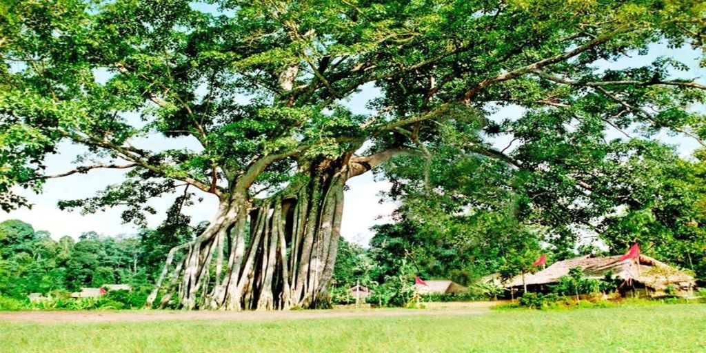 Tan Trao – a historical site in Tuyen Quang, suitable for a trip that combines exploration and learning. - 3