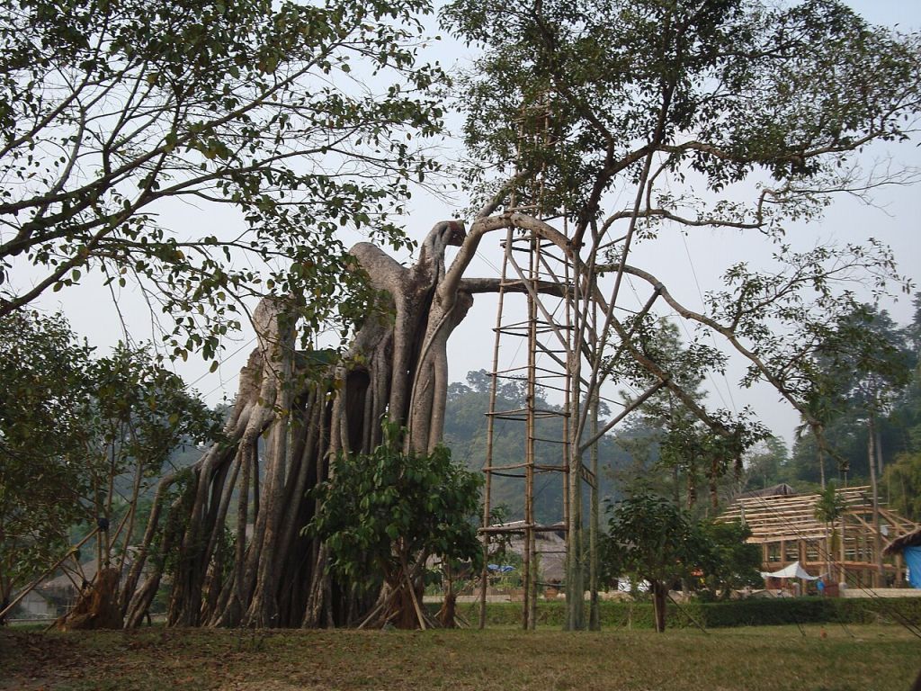 Tan Trao – a historical site in Tuyen Quang, suitable for a trip that combines exploration and learning. - ảnh 9