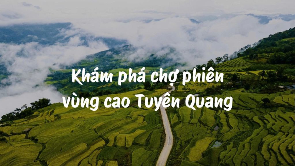 튀엔꽝 고산 시장 탐방 - 거래, 문화, 그리고 실제 경험의 가치가 어우러진 공간