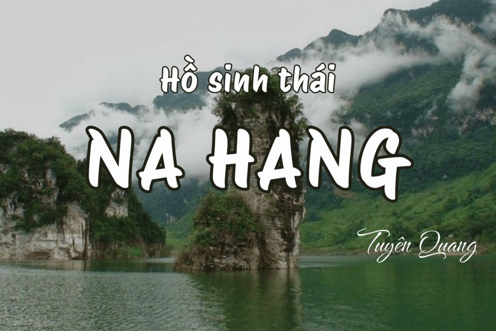 아침 일찍 나항 생태 호수를 탐험하기 – 공간에 대한 차별화된 경험과 느낌