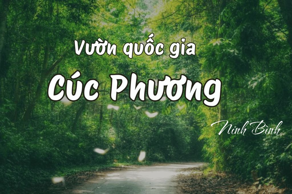 국립공원 쿡푸엉이 2026년 생태 관광 성수기에 접어들었습니다. - 1