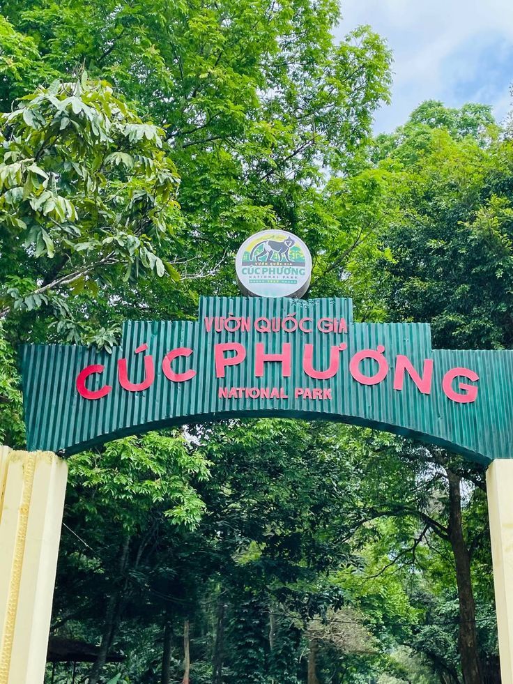 국립공원 쿡푸엉이 2026년 생태 관광 성수기에 접어들었습니다. - 2