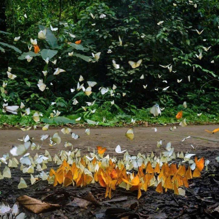 The 2-day, 1-night itinerary in Ninh Binh continues to be a popular choice for weekend travelers. - ảnh 7