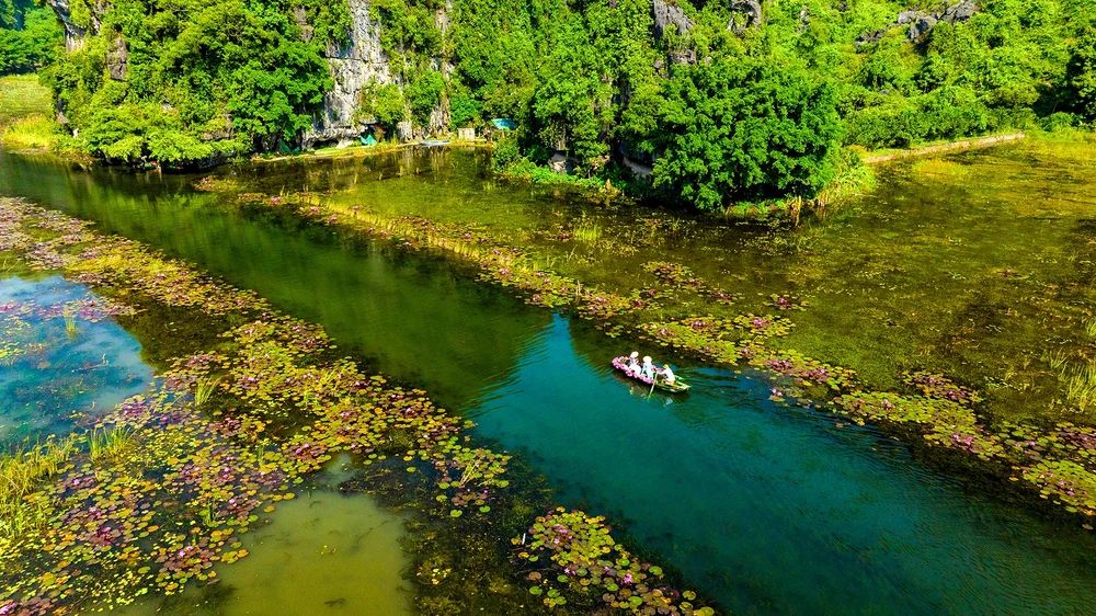 Tam Cốc tourist area has seen an increase in the number of visitors during the recent peak season. - ảnh 6