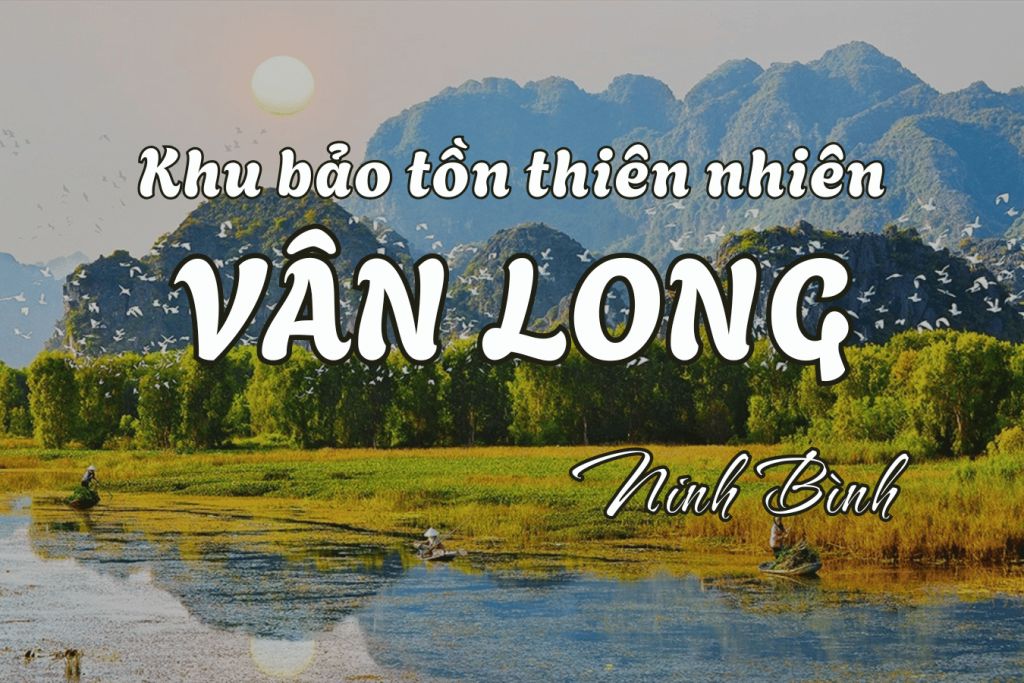 Vân Long Nature Reserve continues to attract visitors seeking a peaceful space. - 1