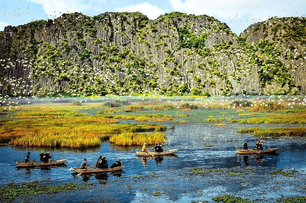 Vân Long Nature Reserve continues to attract visitors seeking a peaceful space. - 2