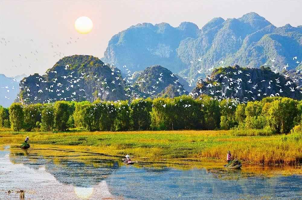 Vân Long Nature Reserve continues to attract visitors seeking a peaceful space. - 3