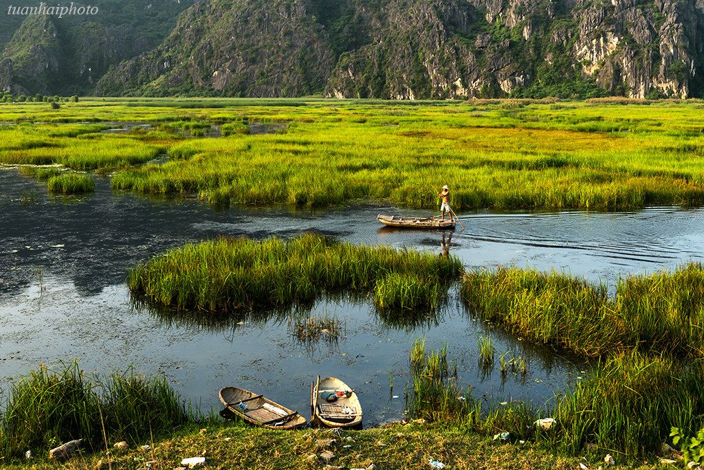 Vân Long Nature Reserve continues to attract visitors seeking a peaceful space. - ảnh 5