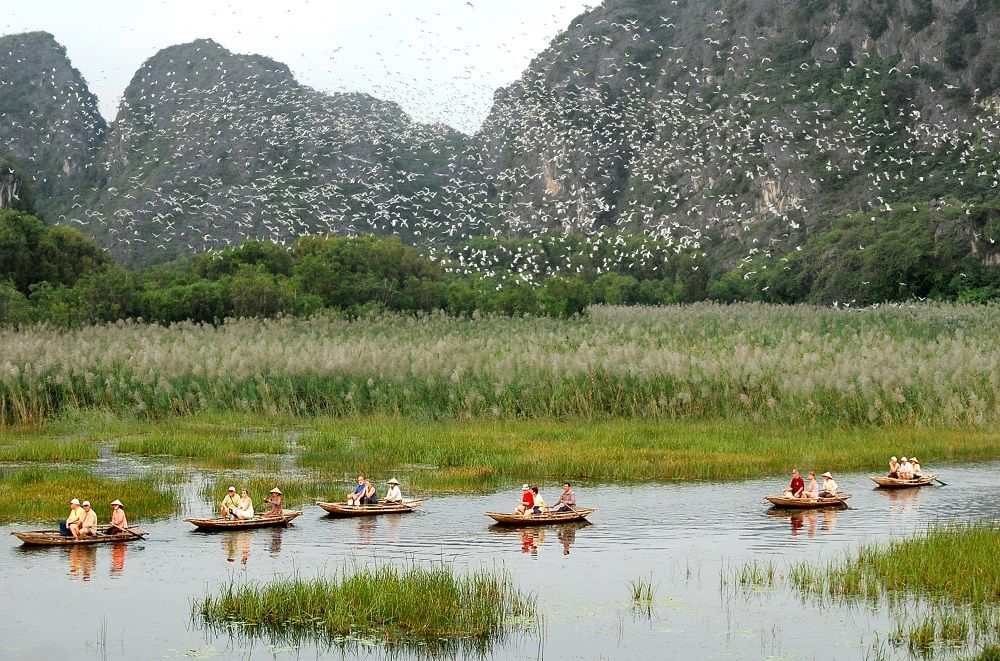 Vân Long Nature Reserve continues to attract visitors seeking a peaceful space. - ảnh 9