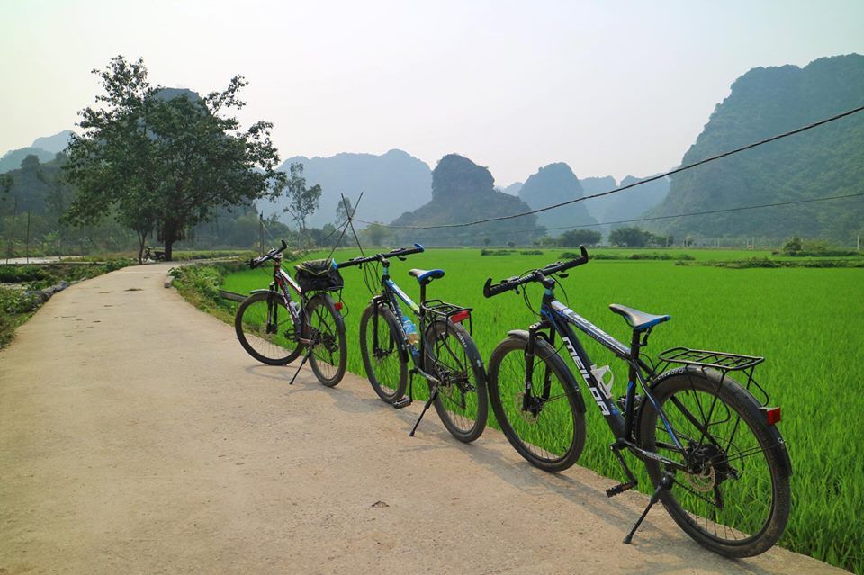 La ruta turística en bicicleta a través de Tam Cốc – Hoa Lư ha sido elegida por muchos turistas recientemente. - 2