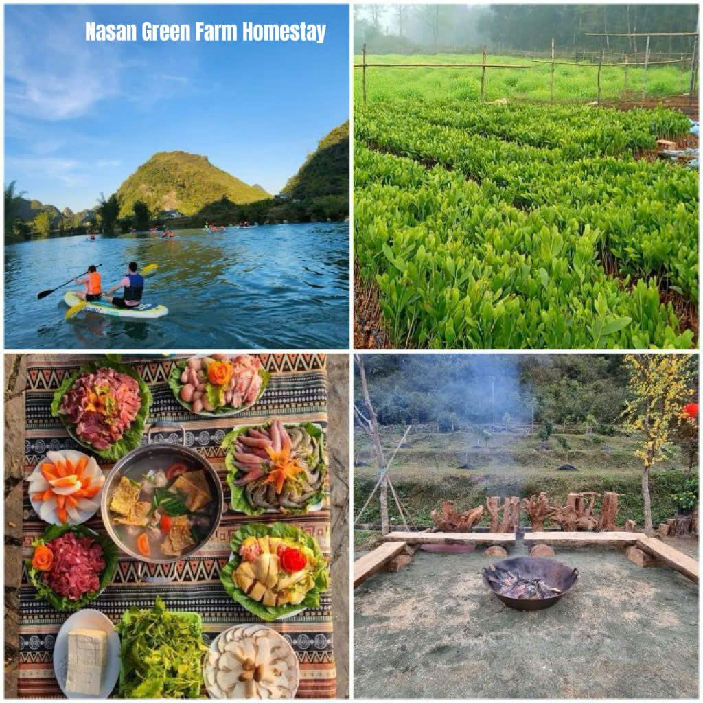 4 quality homestays near Ban Gioc Waterfall - 3
