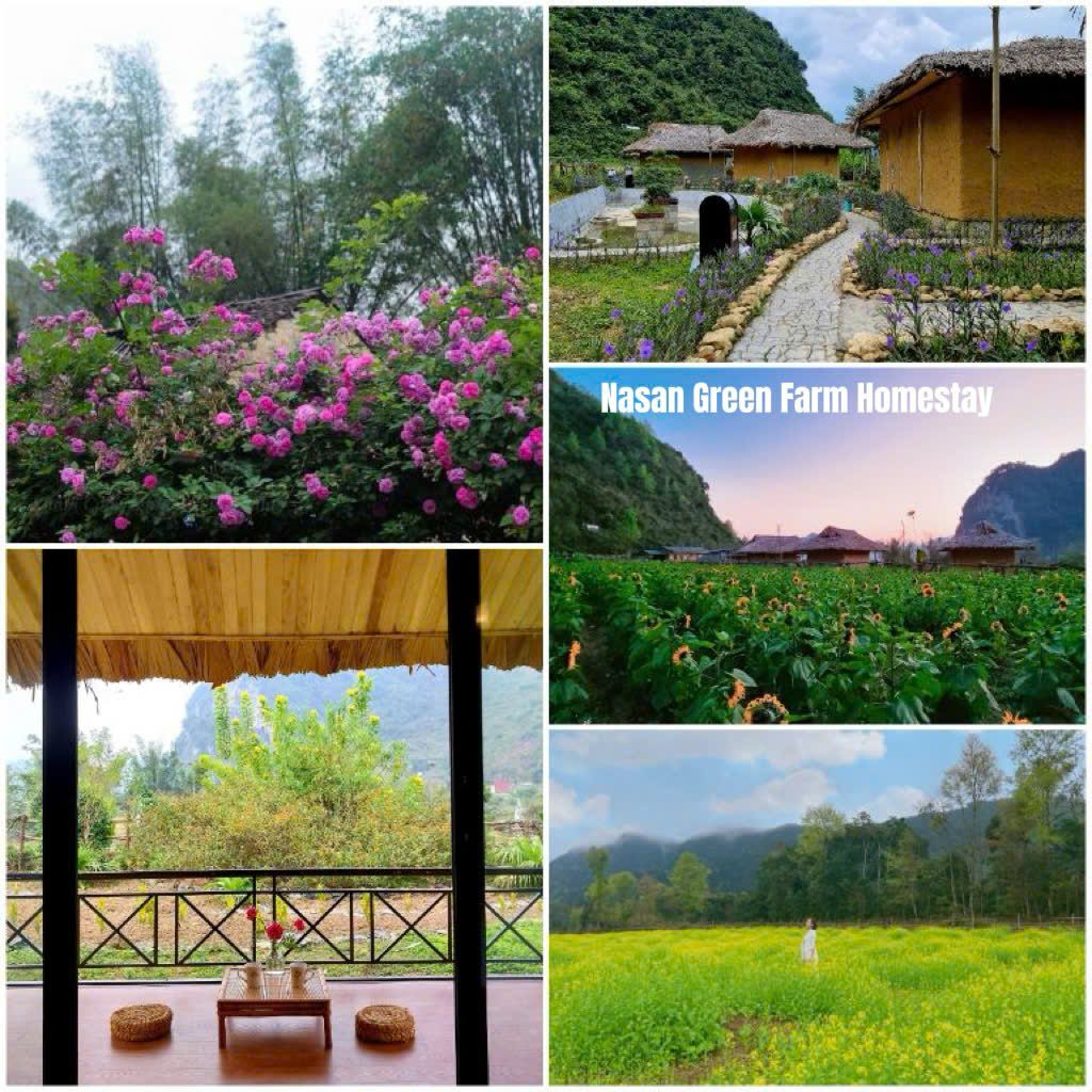 4 quality homestays near Ban Gioc Waterfall - 4