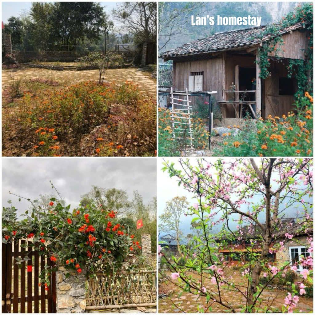 4 quality homestays near Ban Gioc Waterfall - ảnh 5