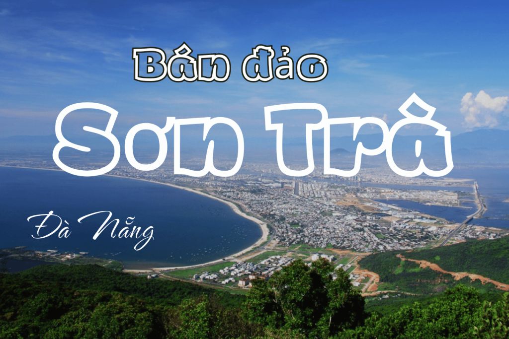 EXPLORE SON TRA PENINSULA – THE "GREEN LUNG" OF DA NANG