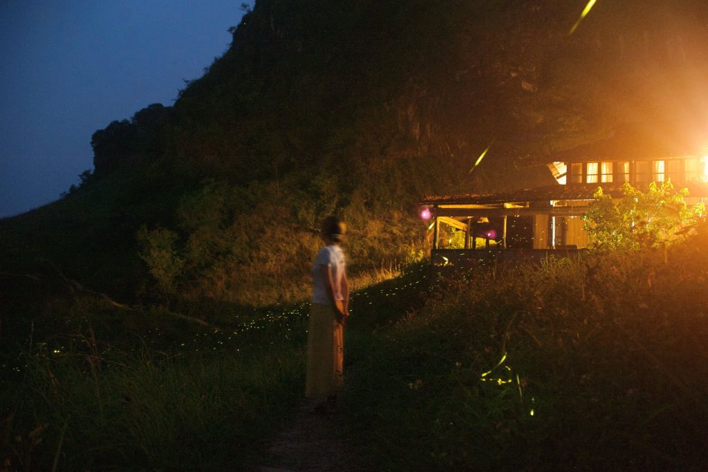 Come to Ba Quáng Panorama to see fireflies lighting up the summer sky. - 1