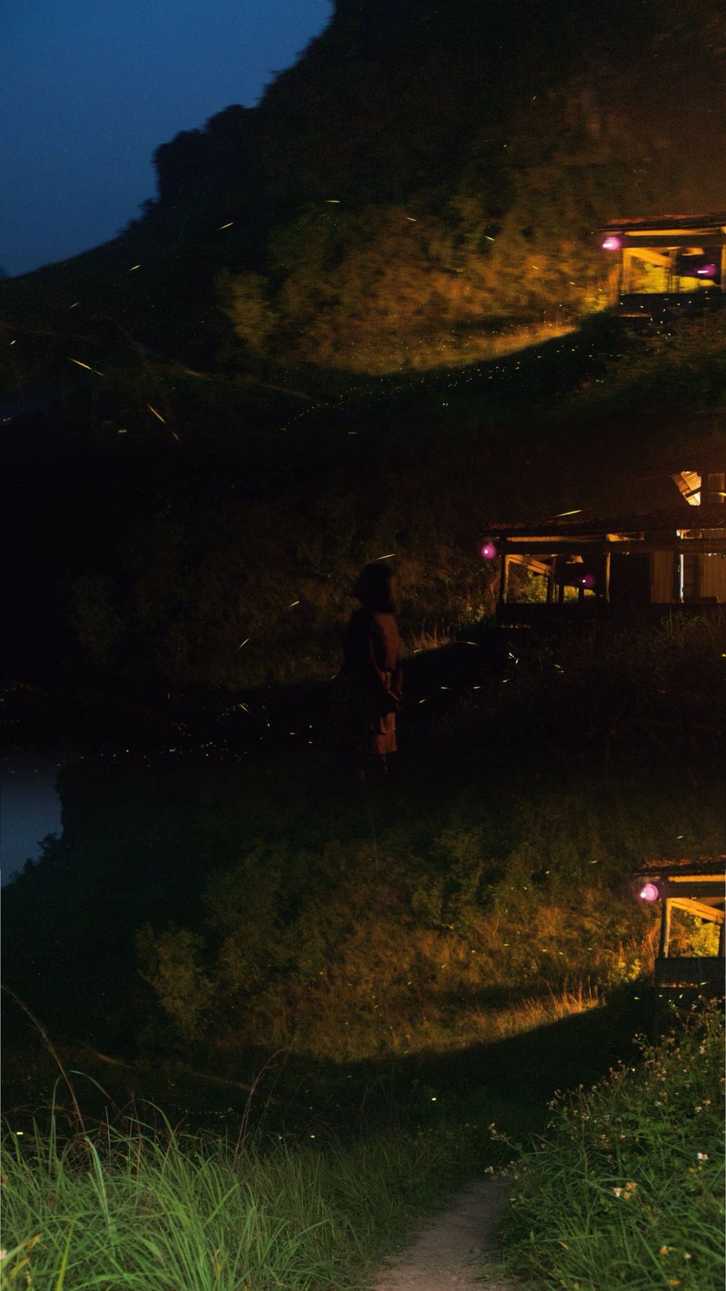 Come to Ba Quáng Panorama to see fireflies lighting up the summer sky. - 3