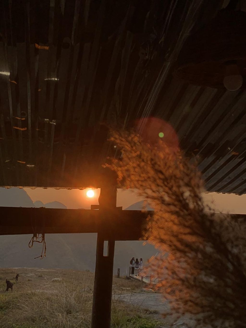 El atardecer en la colina de hierba quemada Ba Quáng. - 3