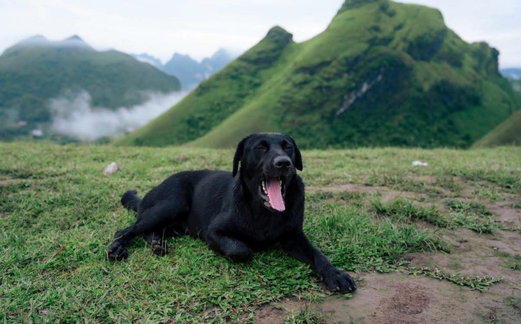 Recepción especial en la colina de hierba Ba Quáng. - 2