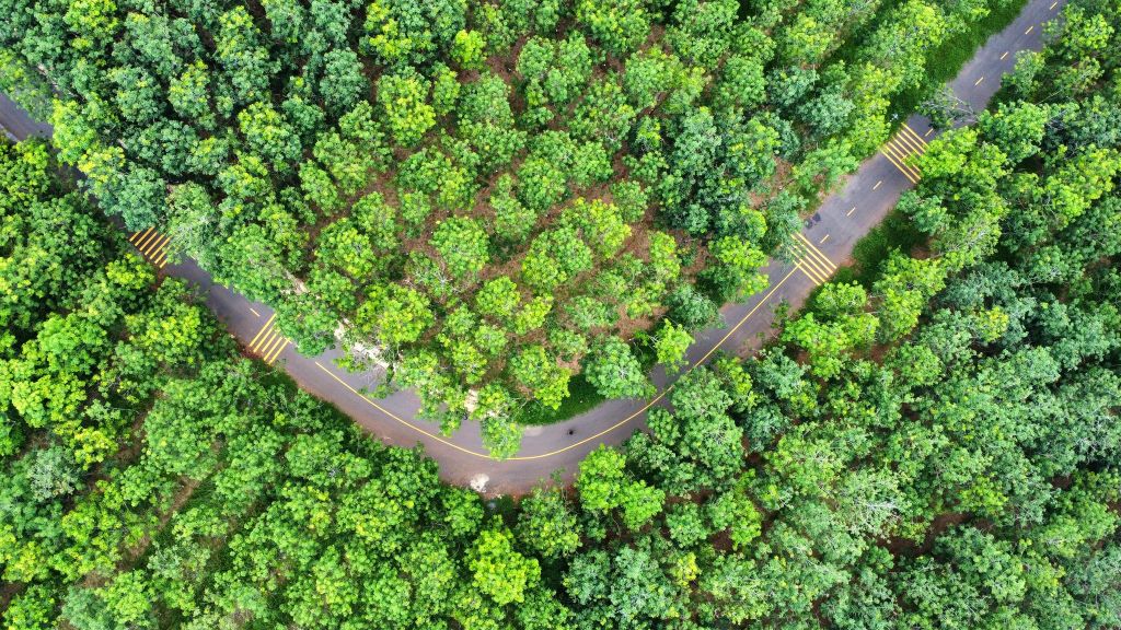 Check-in en el hermoso camino de plantaciones de caucho en Cửa Tùng. - 1