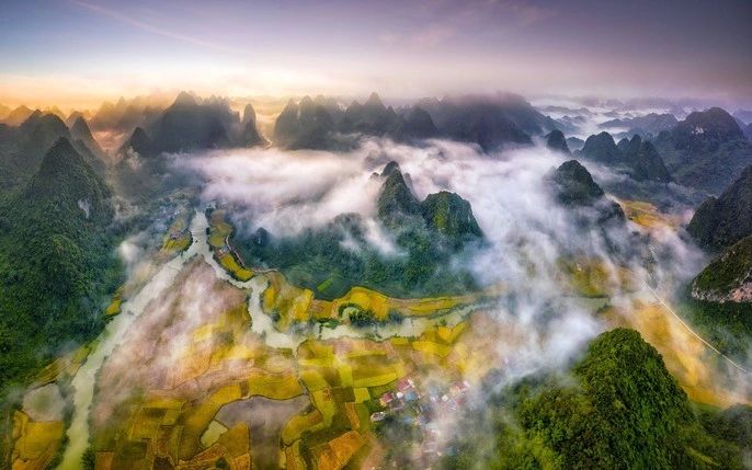 Ngọc Côn during the rice harvest season. - 1