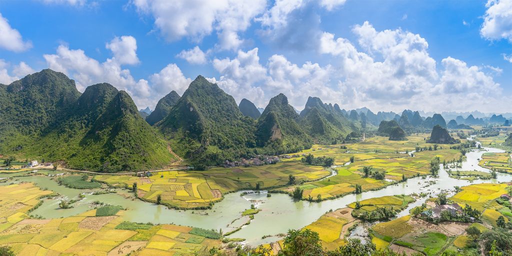 Ngọc Côn during the rice harvest season. - 2