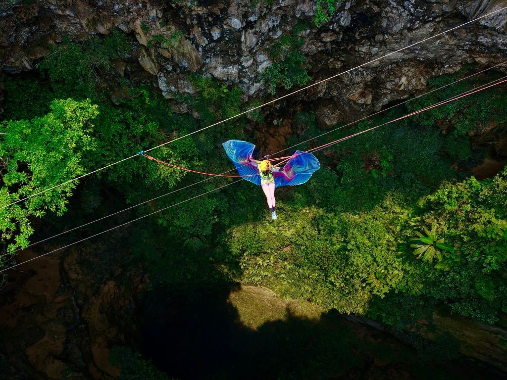 Phong Nha butterfly season 🤭 - 1