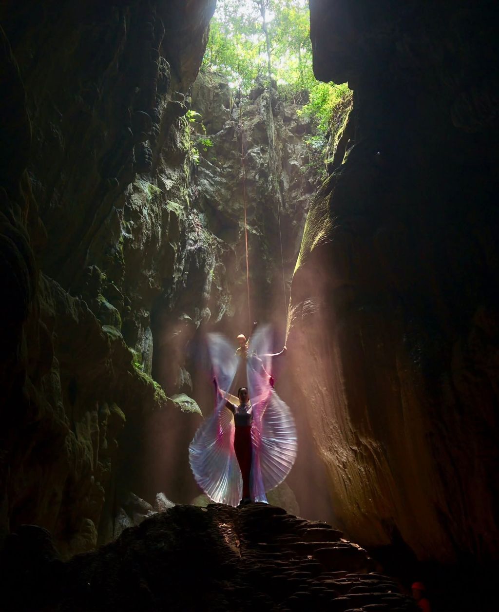 Phong Nha butterfly season 🤭 - 2