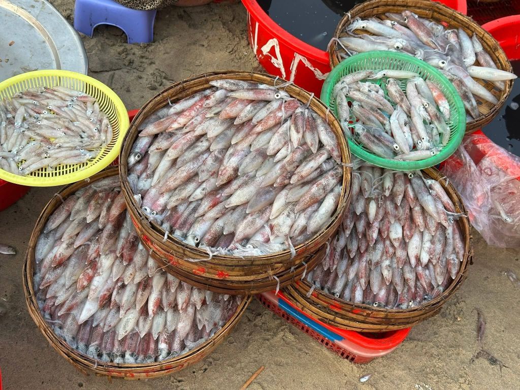 Morning on the beach of Mân Thái, Da Nang. - 3